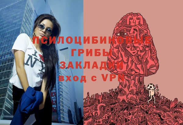 гидропоника Баксан