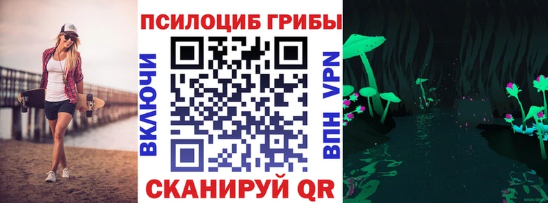 Псилоцибиновые грибы Psilocybe  продажа наркотиков  Петровск 